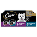Cesar Filets in Gravy Wet Dog Food Variety Pack