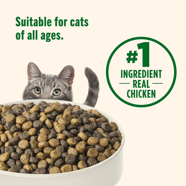 Rachael Ray Nutrish Real Chicken & Brown Rice Recipe Whole Health Blend Dry Cat Food