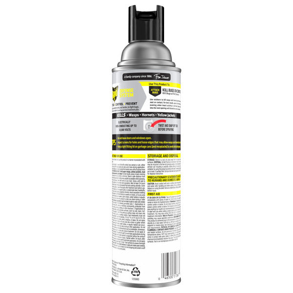 Raid® Wasp & Hornet Killer, Outdoor Flying Insect Spray
