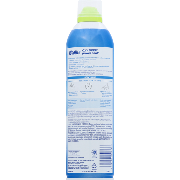 Woolite Carpet Spot & Stain Remover