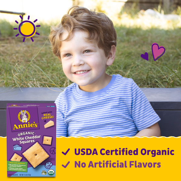 Annie's Organic Cheddar Squares White Cheddar Baked Crackers
