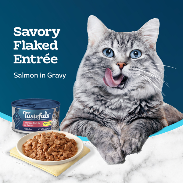 Blue Buffalo Tastefuls Natural Flaked Wet Cat Food, Salmon Entrée in Gravy