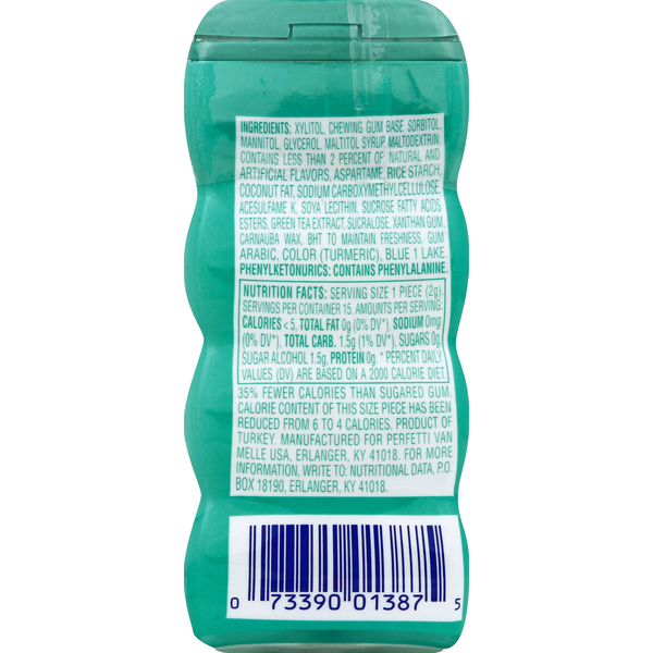 Mentos Gum, Spearmint, with Green Tea Extract