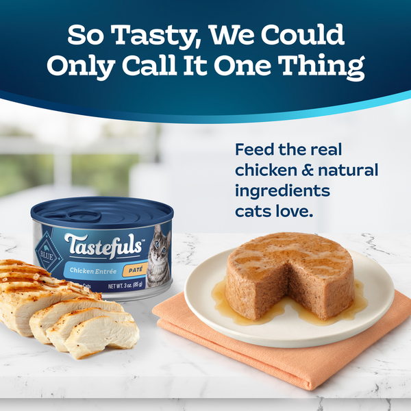 Blue Buffalo Tastefuls Natural Wet Food for Adult Cats, Flaked Chicken Paté