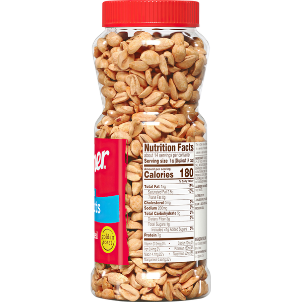 Fisher Sea Salt Dry Roasted Peanuts