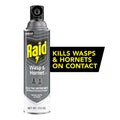 Raid® Wasp & Hornet Killer, Outdoor Flying Insect Spray