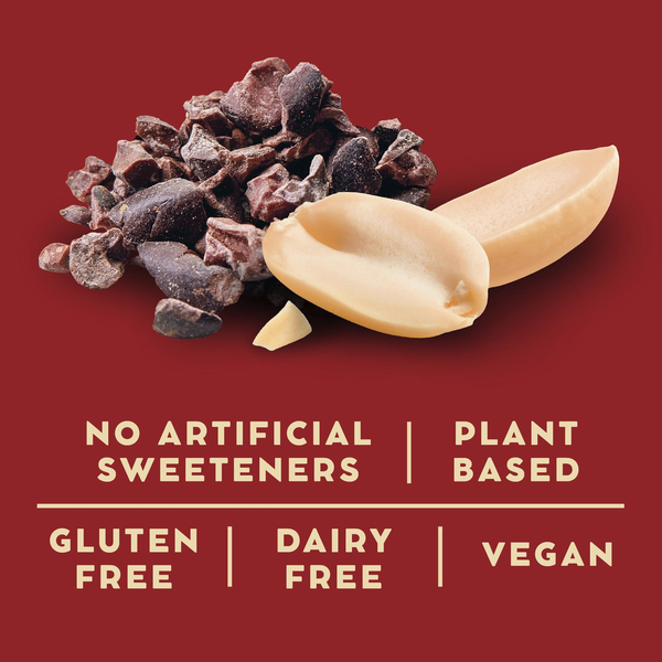 LÄRABAR Peanut Cocoa Crunch Bars Vegan and Gluten Free Snacks