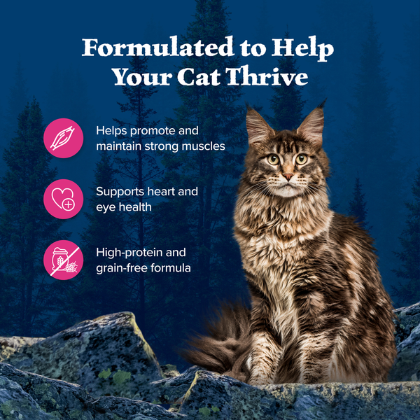 Blue Buffalo Wilderness Delights Meaty Wet Cat Food, Chicken & Salmon in  Gravy