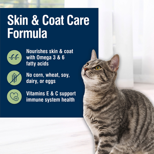 Blue Buffalo True Solutions Perfect Skin & Coat Natural Adult Dry Cat Food, Salmon
