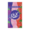 PUR Jumbo Gum Natural Bubblegum, Grape, Watermelon Flavored Gum, 100% Xylitol