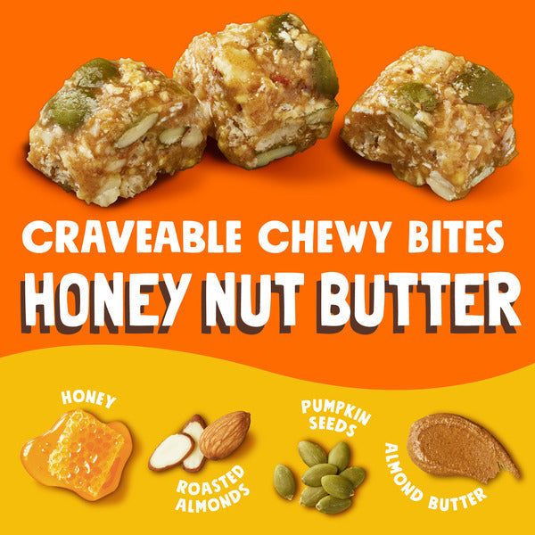 Bear Naked Chewy Granola Bites, Whole Grain and Fiber, Honey Nut Butter,  Box (5 Pouches)