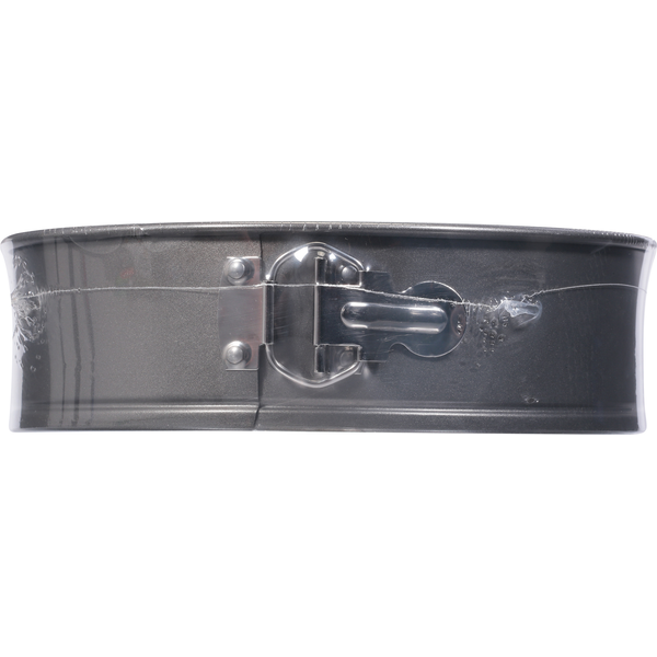 GoodCook Springform Pan, Nonstick, 9 In