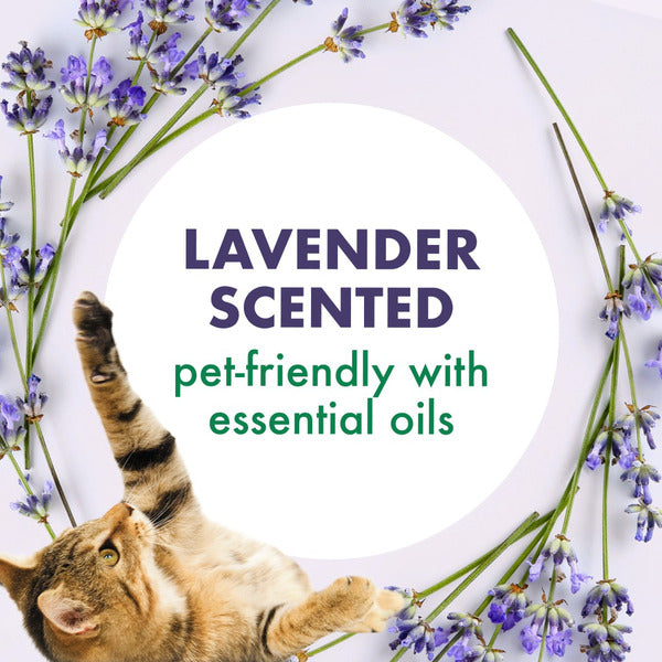 Arm & Hammer Forever Fresh Cat Litter Deodorizer