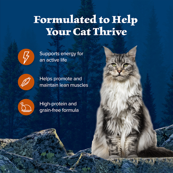 Blue Buffalo Wilderness Wild Delights High Protein Grain Free Wet Cat Food, Chicken & Turkey