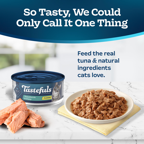 Blue Buffalo Tastefuls Natural Flaked Wet Cat Food, Tuna Entrée in Gravy