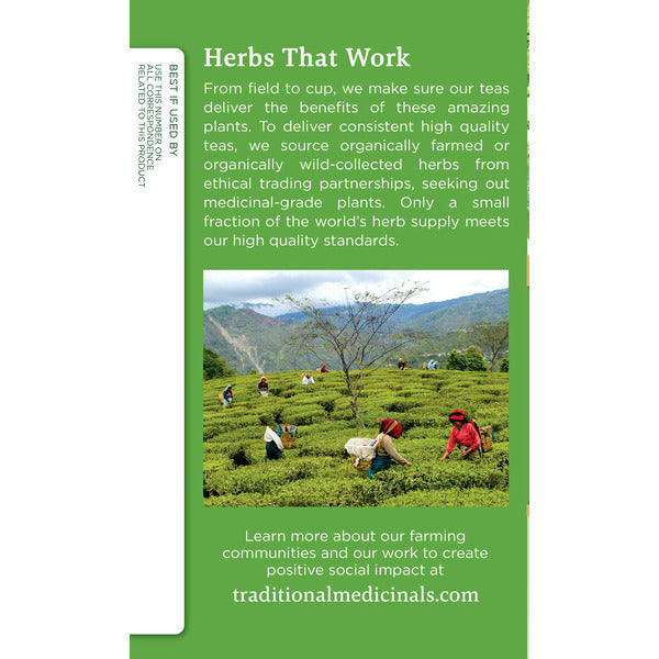 Traditional Medicinals Organic Green Tea Matcha with Toasted Rice, Caffeine Free Herbal Tea