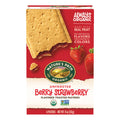 Nature's Path Unfrosted Berry Strawberry Toaster Pastries