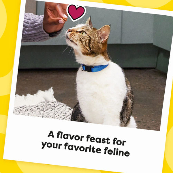 TEMPTATIONS MixUps Crunchy and Soft Cat Treats Surfers' Delight Flavor