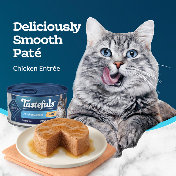Blue Buffalo Tastefuls Natural Wet Food for Adult Cats, Flaked Chicken Paté