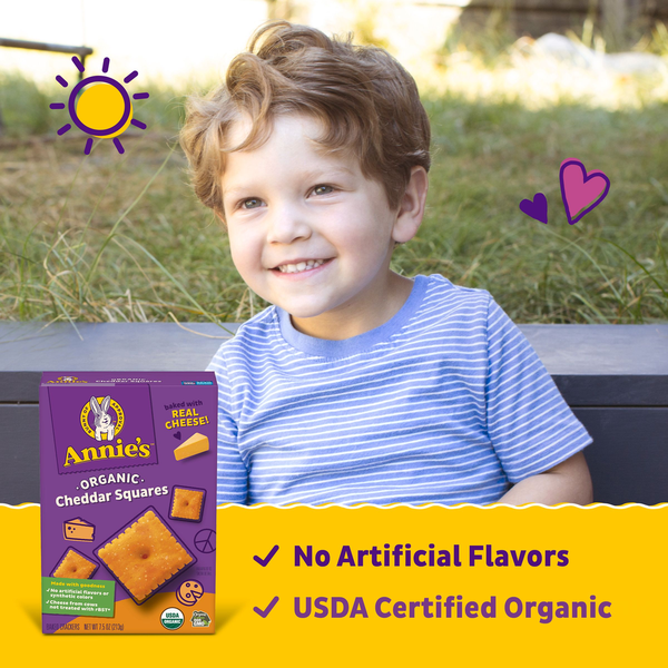 Annie's Organic Cheddar Squares Baked Cracker Snacks