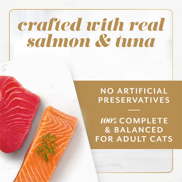 Fancy Feast Gems Pate Cat Food Mousse Salmon or Tuna and a Halo of Savory Gravy Wet Cat Food Variety Pack