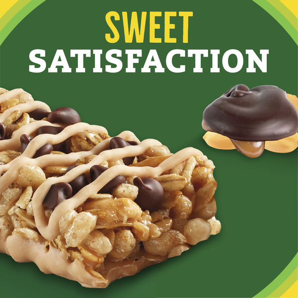 Nature Valley Turtle Sweet and Salty Nut Granola Bars