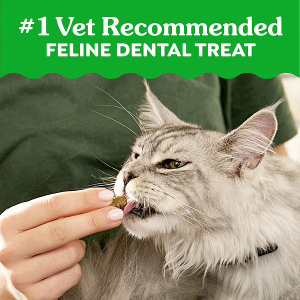 GREENIES Feline Adult Natural Dental Cat Treats, Catnip Flavor, 4.6 oz. Pouch