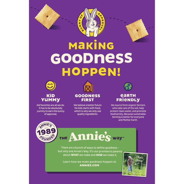 Annie's Organic Cheddar Squares White Cheddar Baked Crackers