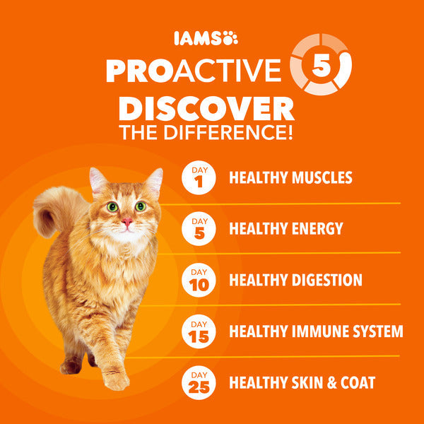 IAMS PROACTIVE HEALTH Adult Healthy Dry Cat Food with Salmon Cat Kibble, 16 lb. Bag