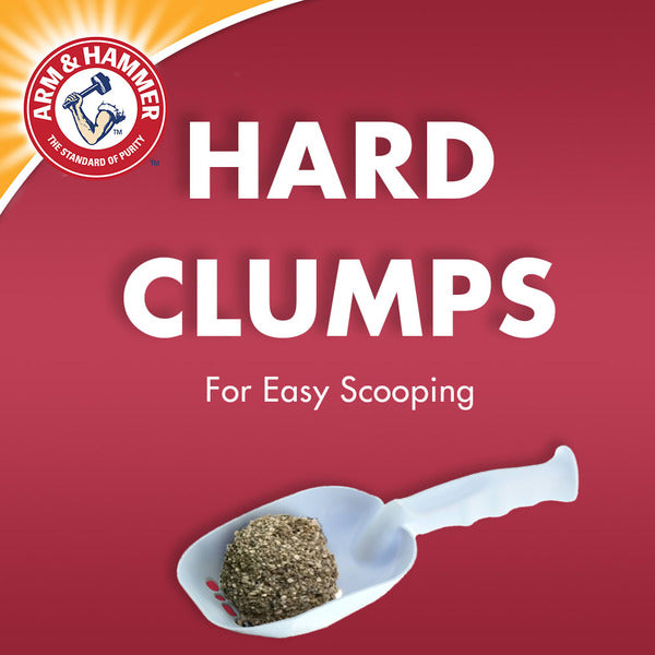 Arm & Hammer Double Duty Dual Advanced Odor Control Scented Clumping Cat Litter