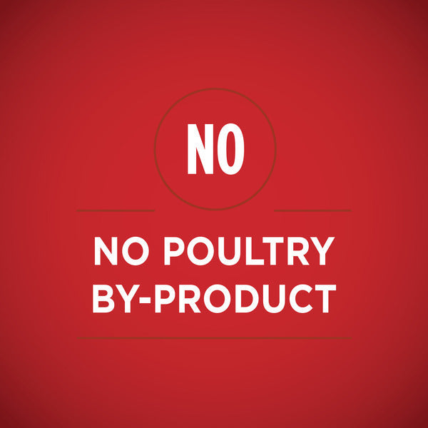 Purina ONE Weight Management, Natural Wet Dog Food, SmartBlend Healthy Weight Tender Cuts Lamb & Brown Rice