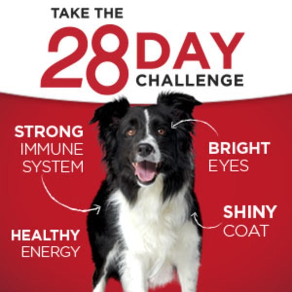 Purina ONE Weight Management, Natural Wet Dog Food, SmartBlend Healthy Weight Tender Cuts Lamb & Brown Rice