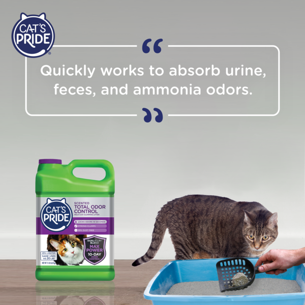 Cat's Pride Max Power Total Odor Control Scented Multi-Cat Clumping Litter