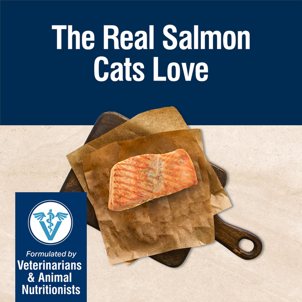 Blue Buffalo True Solutions Perfect Skin & Coat Natural Adult Dry Cat Food, Salmon