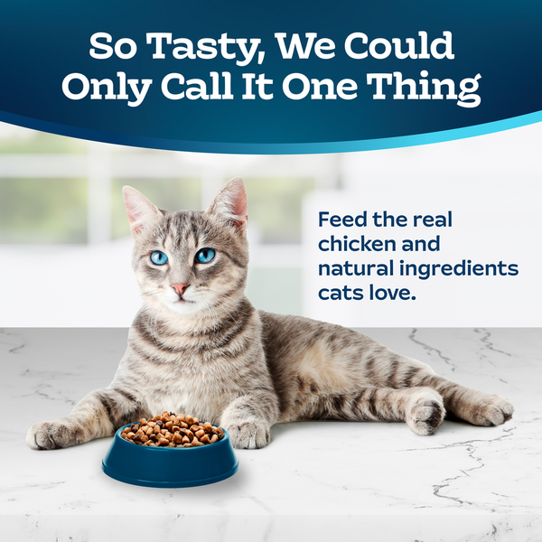 Blue Buffalo Tastefuls Natural Dry Food for Adult Cats 7+, Chicken & Brown Rice
