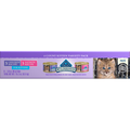 Blue Buffalo Food for Kittens Pate Variety Pack