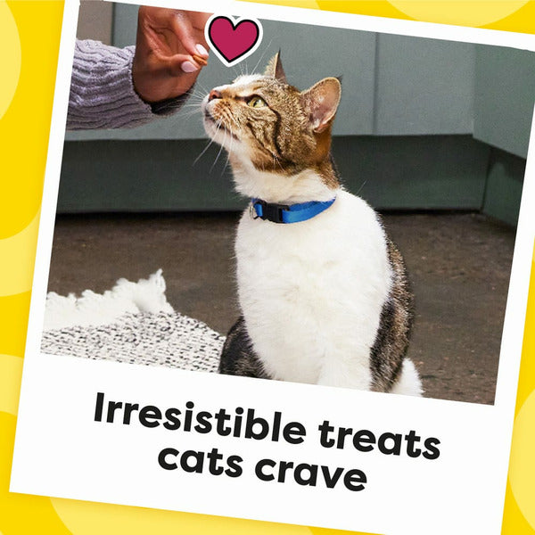 TEMPTATIONS Classic Crunchy and Soft Cat Treats Blissful Catnip Flavor