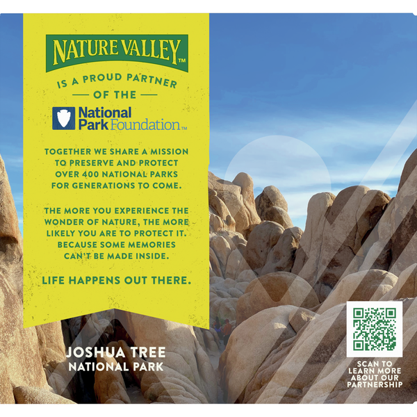 Nature Valley Dark Chocolate Cherry Chewy Fruit and Nut Granola Bars