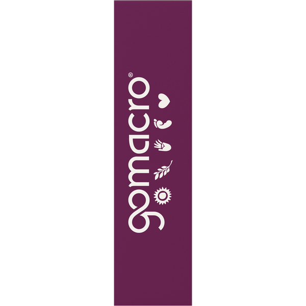 GoMacro Peanut Butter Chocolate Chip Mini MacroBar