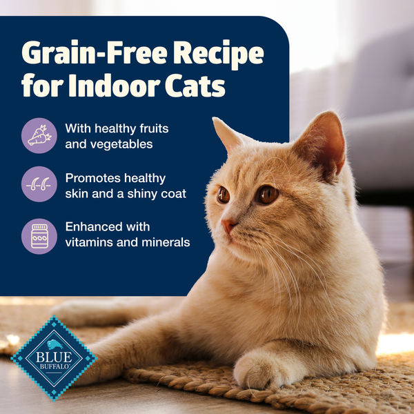 Blue Buffalo Freedom Grain Free Natural Adult Pate Wet Cat Food, Indoor Chicken