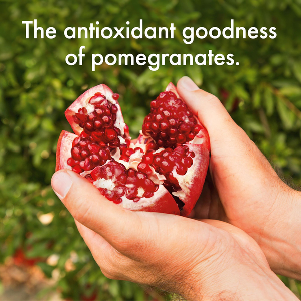 POM Wonderful Super Tea, Pomegranate Elderberry Boost Tea