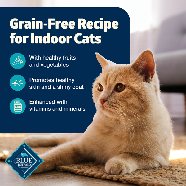 Blue Buffalo Freedom Grain Free Natural Adult Pate Wet Cat Food, Indoor Fish
