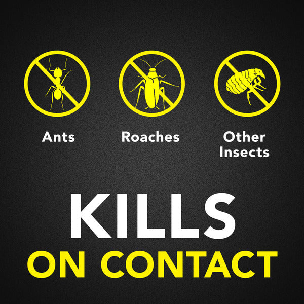 Raid® Ant and Roach Killer Insecticide Aerosol Spray, Fragrance Free