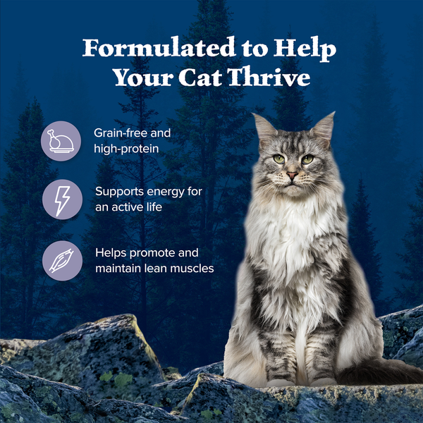 Blue Buffalo Wilderness High Protein Grain Free, Natural Adult Pate Wet Cat Food, Chicken
