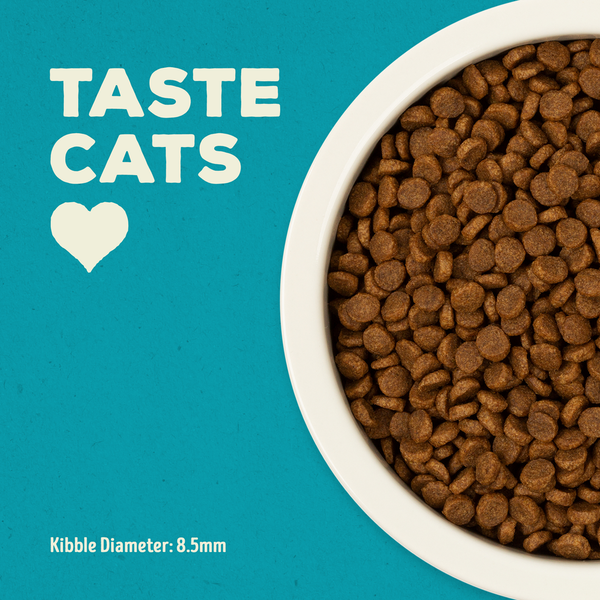 Supreme Source Grain Free Whitefish Meal and Salmon Meal Recipe Cat Food