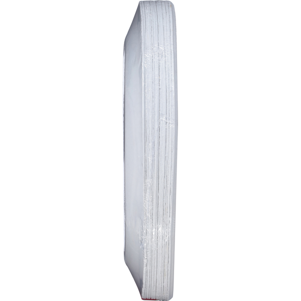 Chinet Classic Compostable All-Day 9.75 Inch Plates