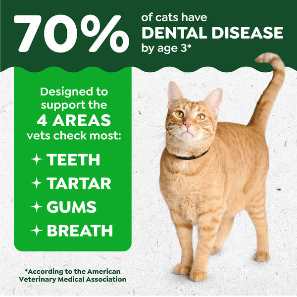 GREENIES Feline Adult Natural Dental Cat Treats, Catnip Flavor, 4.6 oz. Pouch