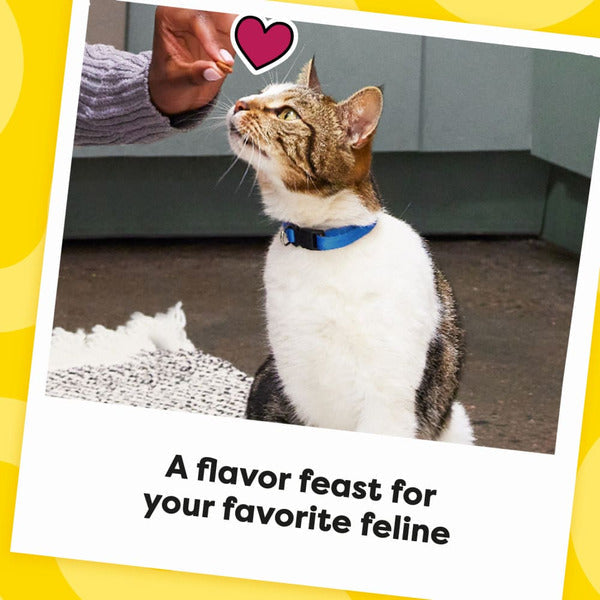 TEMPTATIONS MixUps Crunchy and Soft Cat Treats Surfers' Delight Flavor