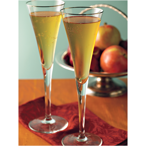 Alpine Sugar Free Spiced Apple Cider Instant Drink Mix