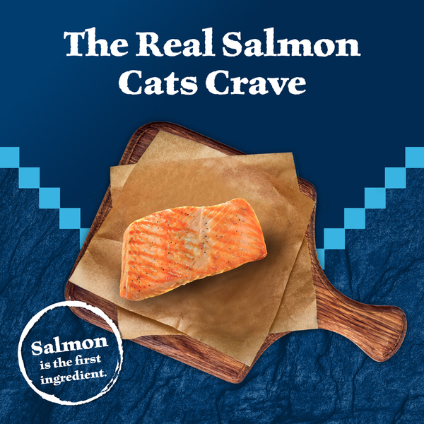 Blue Buffalo Wilderness High Protein Grain Free, Natural Adult Pate Wet Cat Food, Salmon
